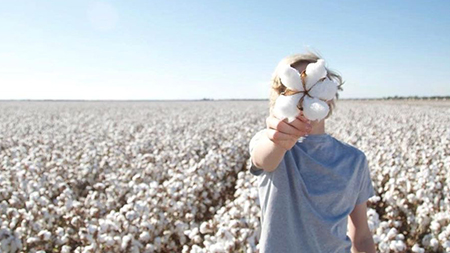 LoveShiqi Home Textile Shares Sourcing and Selecting Raw Materials for Quality Textiles