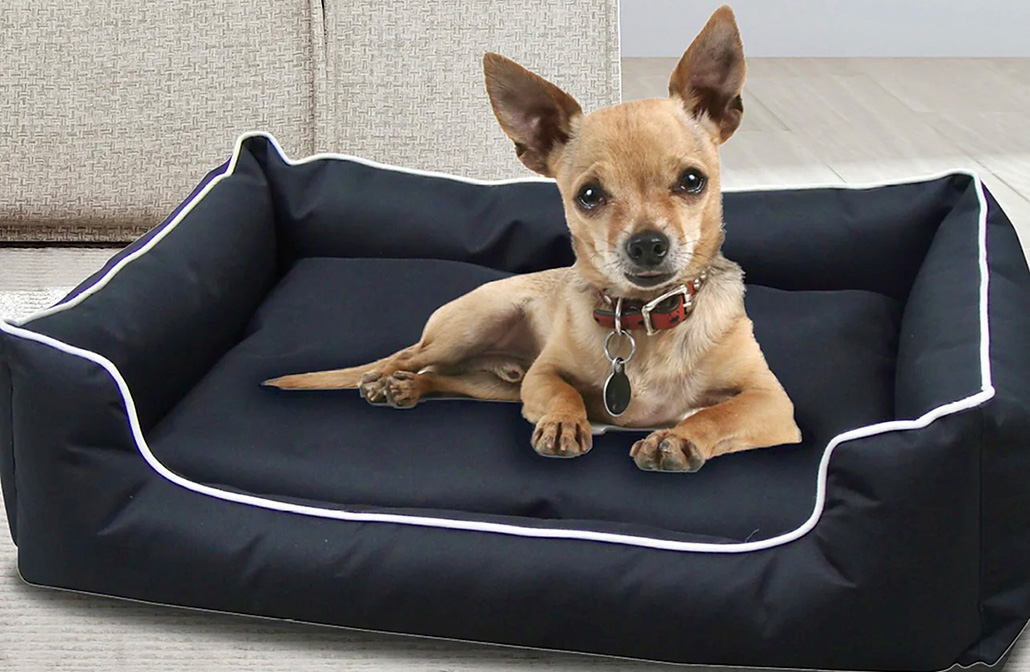 Dog Bed Dog Bed